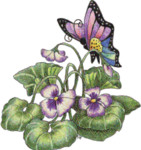 Бабочка на цветочке