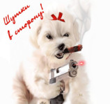 Шутки в сторону