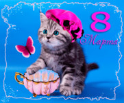 Котенок поздравляет с 8 марта!