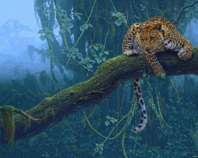 Леопард 3Д-анимация, 3д гифка