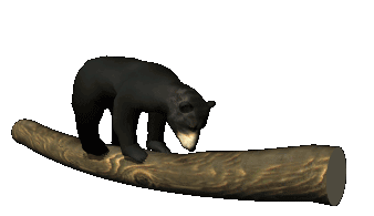 Медведь на бревне  3D - анимация